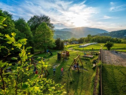 Centrum Rehabilitacji Krokus